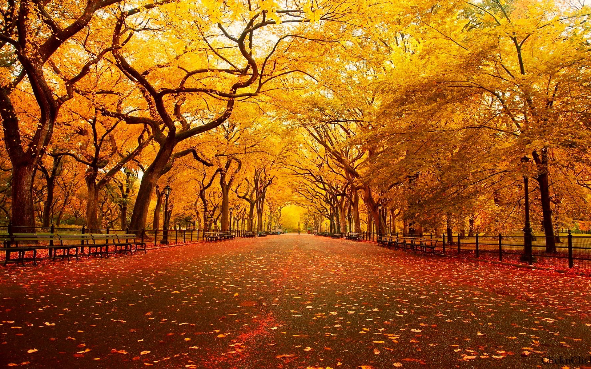 10 Literary Quotes To {Fall} In Love With Autumn Presentation